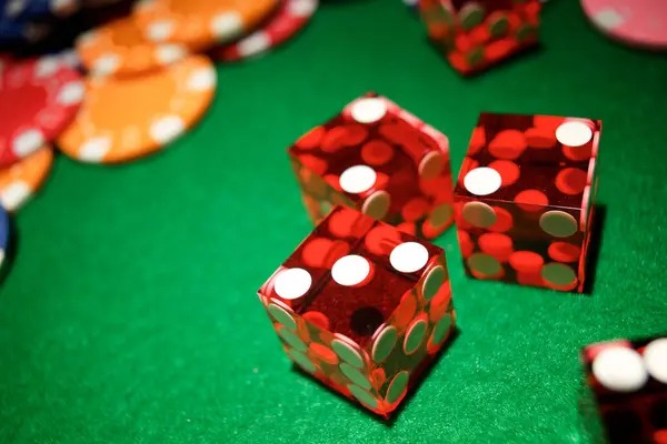 Real-time betting interface and live camera feed for Bikini Paradise
